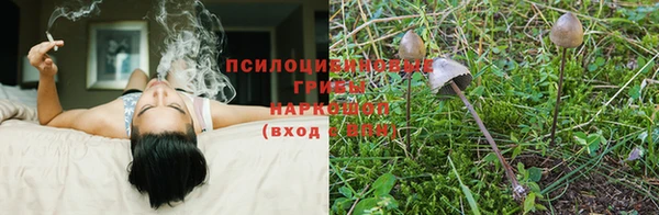 мет Краснослободск