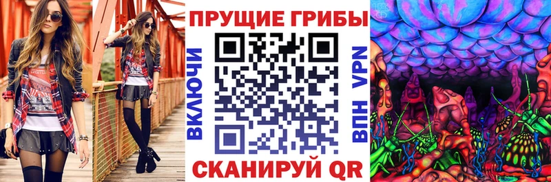 Купить где  Разумное  Псилоцибиновые грибы Psilocybine cubensis 